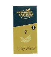 Jacky White fem (Paradise Seeds), Нидерланды