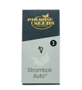 Stromboli Auto autofem (Paradise Seeds), Нидерланды