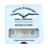 Auto Orange Bud autofem (Dutch Passion), Нидерланды
