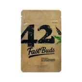 Original Auto Cheese fem (FastBuds), Америка