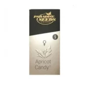 Apricot Candy fem (Paradise Seeds), Нидерланды