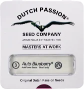 Auto Blueberry autofem (Dutch Passion), Нидерланды