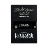 Holy Snow Fem feminised (GHS), Нидерланды