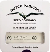 Auto Duck autofem (Dutch Passion), Нидерланды