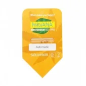 Jock Horror Automatic autofem (Nirvana), Нидерланды