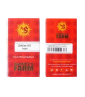 Zkittlez OG Auto autofem (Barney's Farm), Нидерланды