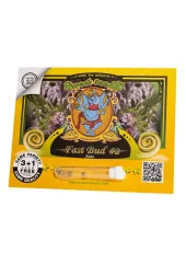Fast Bud №2 Auto autofem (Sweet Seeds), Испания