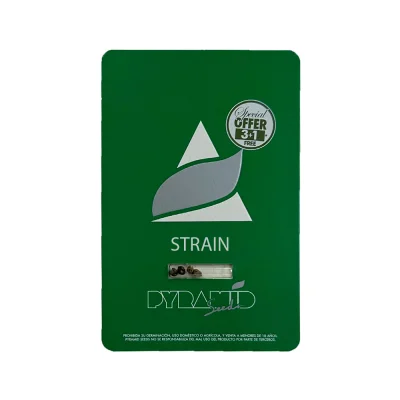 Для новичков