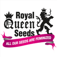 Royal Queen Seeds